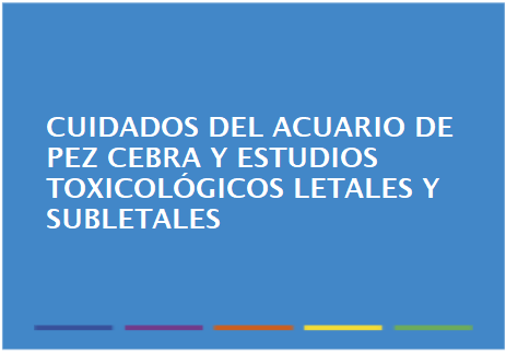 Cuidados del acuario de pez cebra y estudios toxicológicos letales y subletales