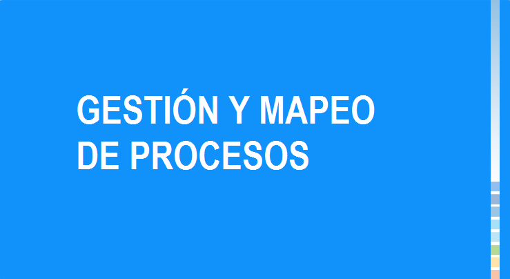 Gestión y Mapeo de Procesos  (2024)