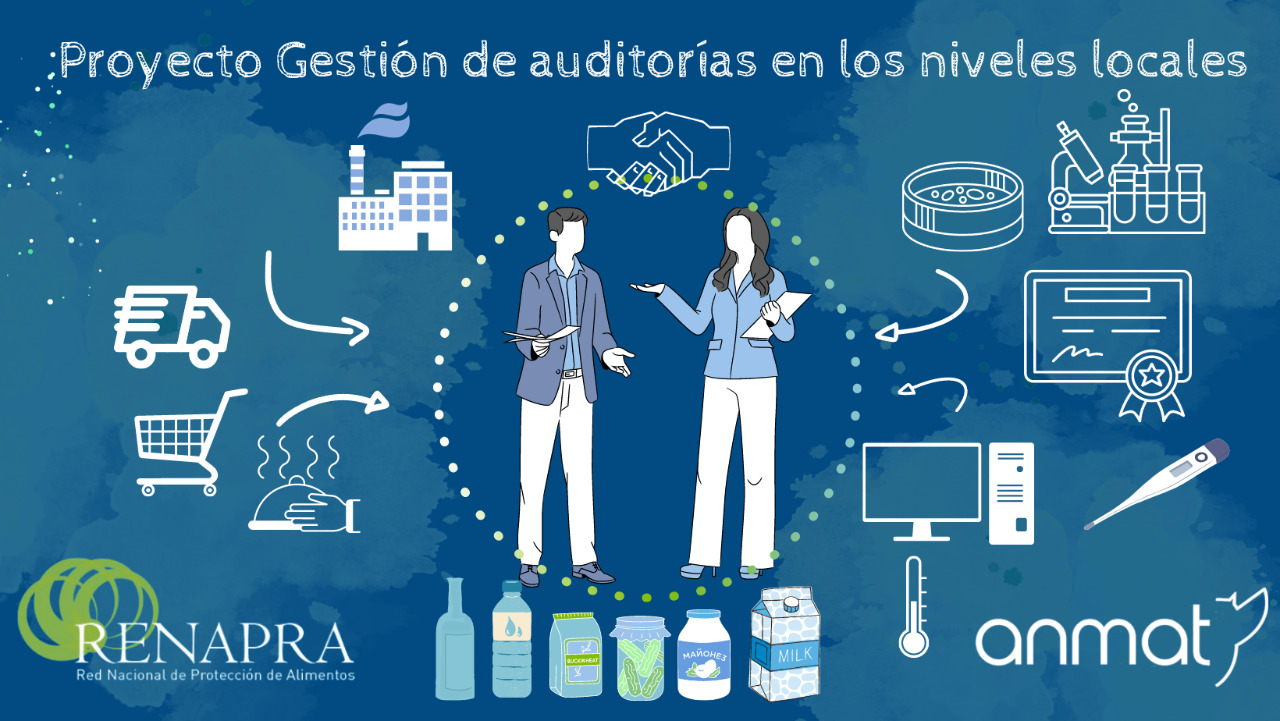 Proyecto: Gestión de auditorias en los niveles locales