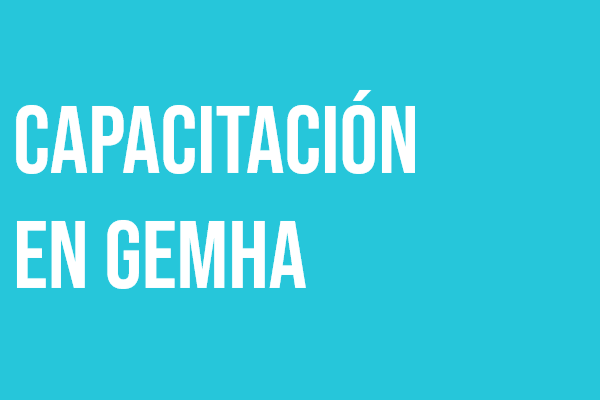 Capacitación en GEMHA: Cohorte 6